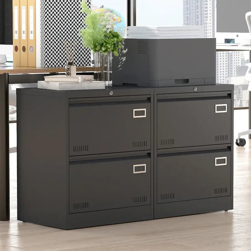 2-Drawer Metal Lateral File Cabinet with Lock, Black, Heavy-Duty Office Storage